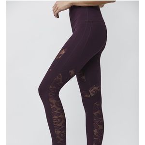DYI Lace Ready Tight in burgundy
